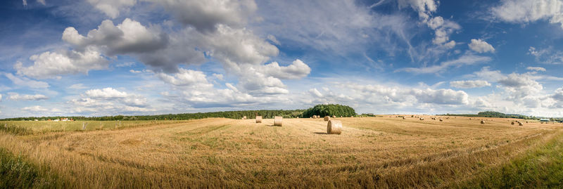 Panoramic view of agricultural field against sky