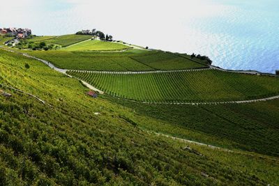 Scenic view of lavaux in switzerland against sky