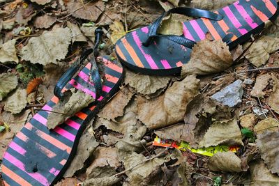 Close-up of multi colored pencils