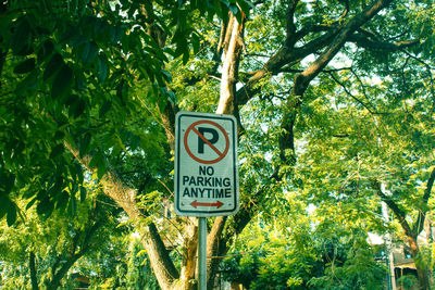 Low angle view of road sign against trees