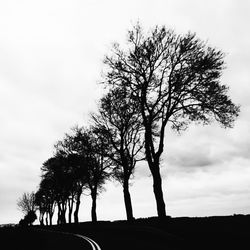 Road passing through bare trees