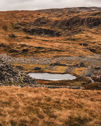 Scenic view of landscape