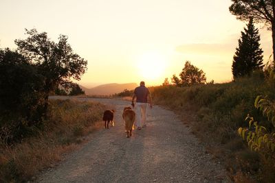 Rear view of people walking with dog at sunset