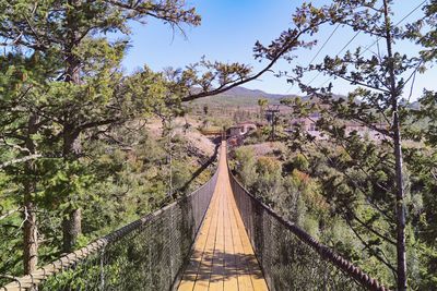 Footbridge amidst trees against sky