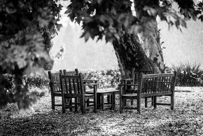 Empty chairs and tables in park