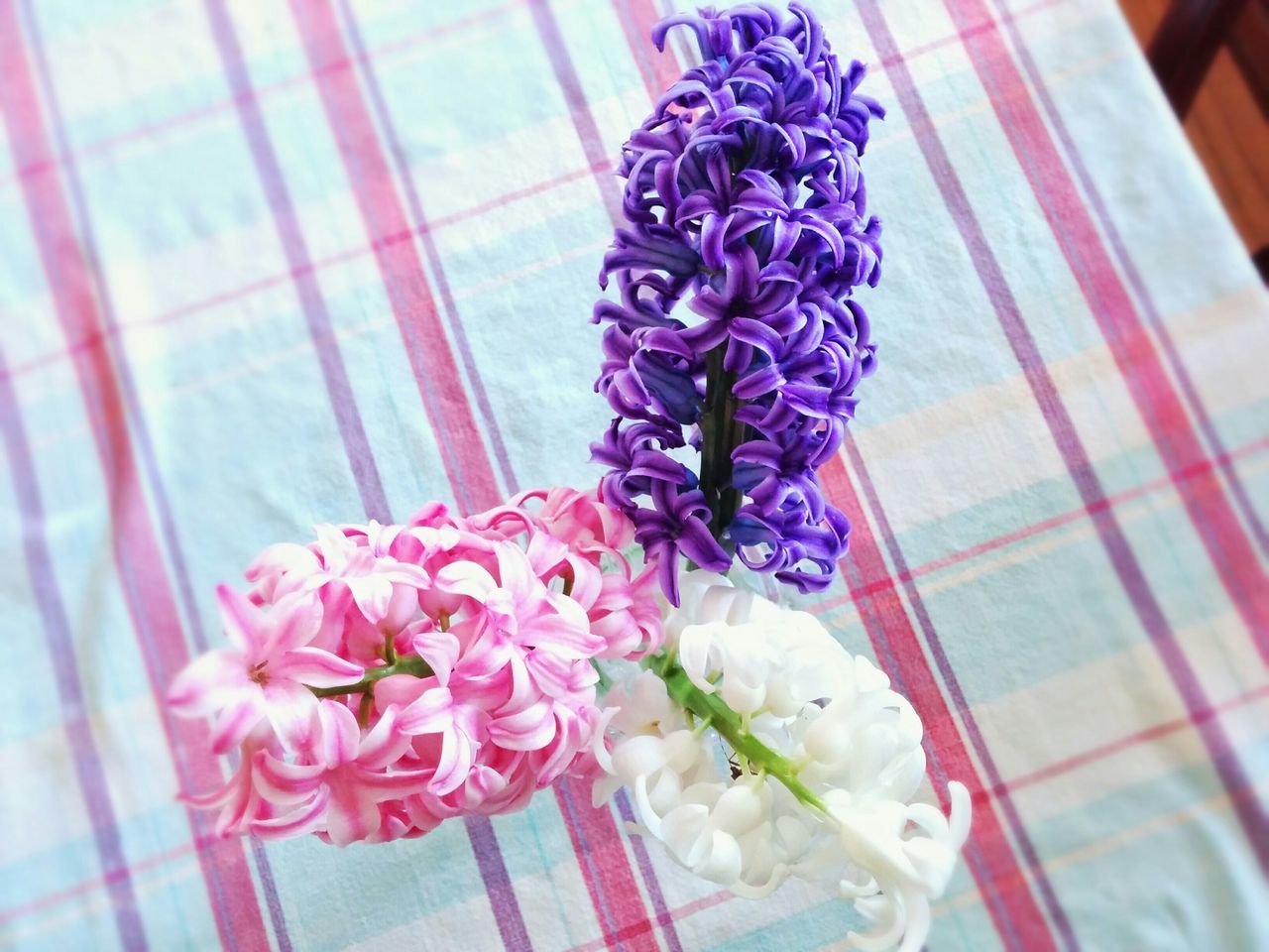 indoors, flower, freshness, still life, table, decoration, high angle view, multi colored, vase, home interior, purple, pink color, floral pattern, no people, bouquet, close-up, art and craft, animal representation, variation, petal