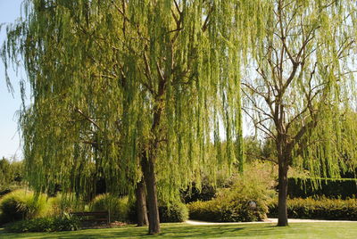 Scenic view of green landscape and trees against sky