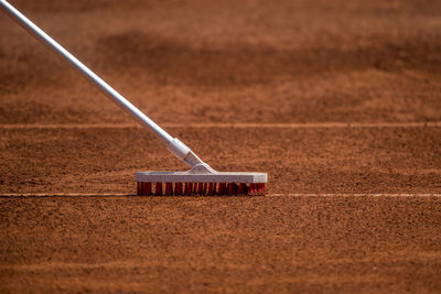 Close-up of brush on dirt land