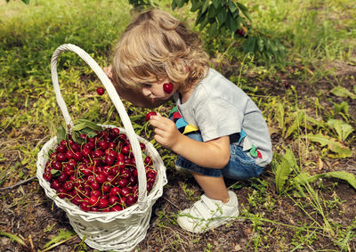 High angle view of girl holding ice cream in basket