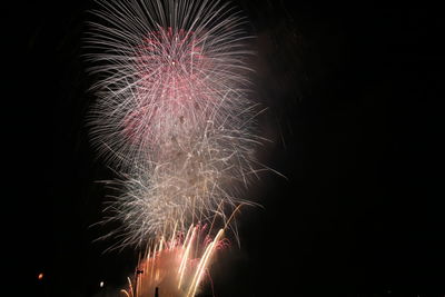 Low angle view of firework display at night