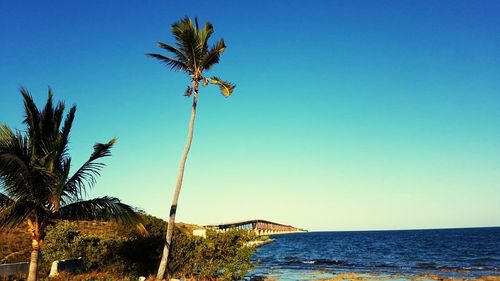 Scenic view of sea against clear blue sky