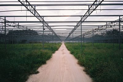 Scenic view of greenhouse against sky