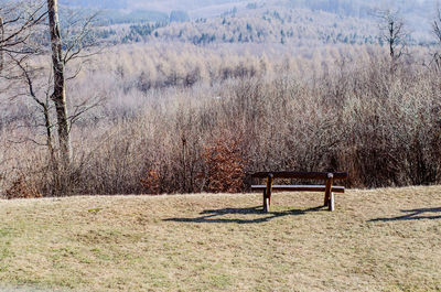 Empty bench on field in park