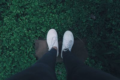 Low section of person standing on rock by plants