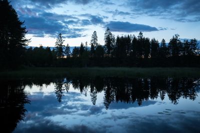 Reflection of silhouette trees in lake against sky