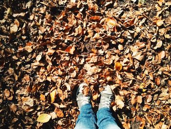 Low section of woman standing in park