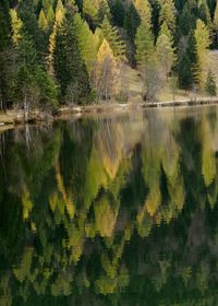 Scenic view of lake