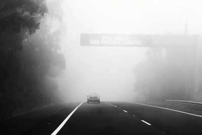 Road along trees