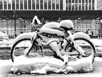 Horse cart in city during winter