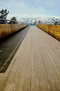 Empty road along trees