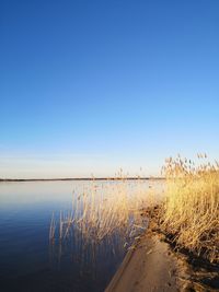 Scenic view of lake against clear blue sky