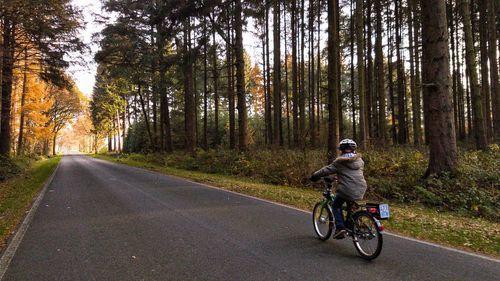 Man riding bicycle on road in forest