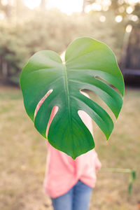 Close-up of woman holding leaves