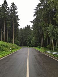 Empty roads amidst trees