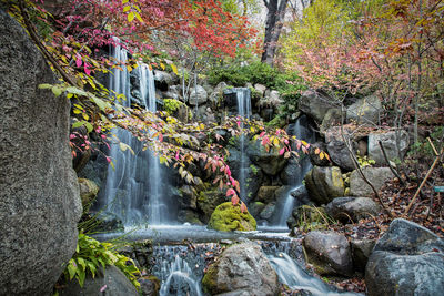 View of waterfall in forest