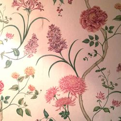 Pink flowers on wall