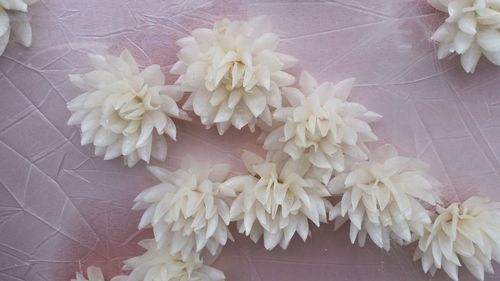 Close-up of white flowers