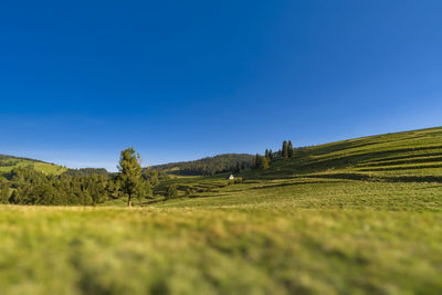 Scenic view of field against clear blue sky