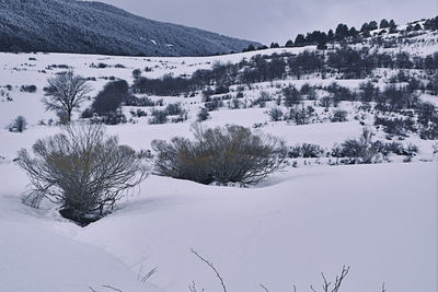 Scenic view of snow covered landscape against sky