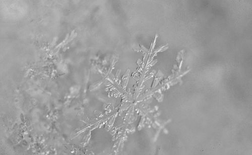 Full frame shot of abstract pattern