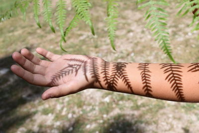 Close-up of hand with shadow by tree