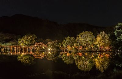 Reflection of trees in water at night