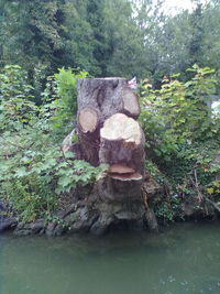 Rocks in water