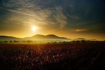 Scenic view of field against sky during sunset