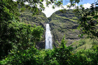 Scenic view of waterfall in forest