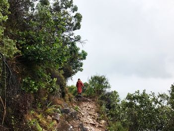 Woman standing on tree against sky