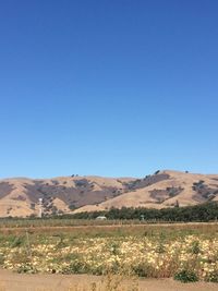 Scenic view of landscape against clear blue sky