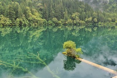 Scenic view of lake