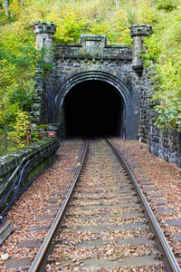 Railroad tracks by bridge