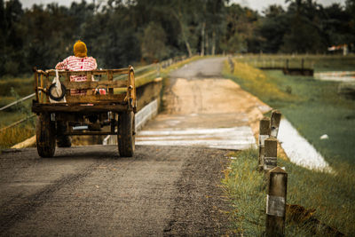 View of vehicle on road