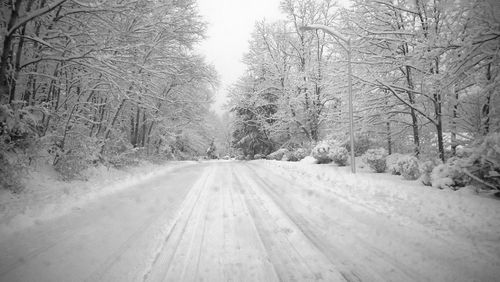 Road passing through forest