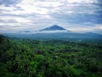 Scenic view of landscape against cloudy sky