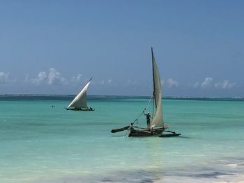 Sailboat sailing in sea against sky