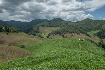 Scenic view of landscape against sky