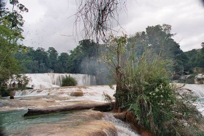 Scenic view of waterfall in forest against sky