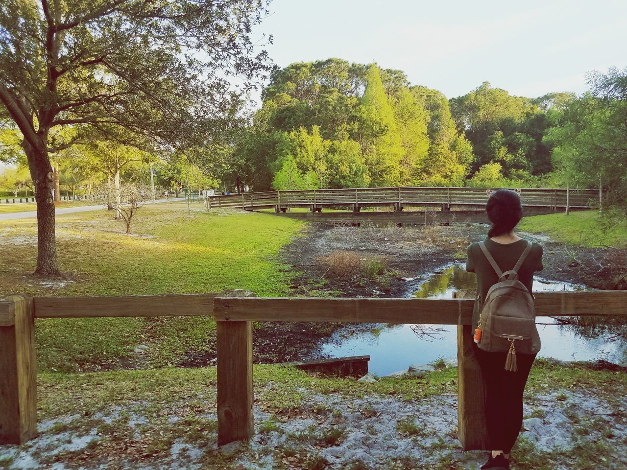 REAR VIEW OF WOMAN STANDING BY TREES IN PARK